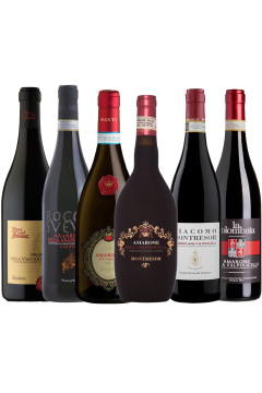 Amarone WIne Selection Case - 6 bottles