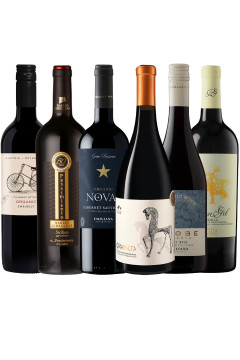 Organic Red Wine Selection case - 6 bottles