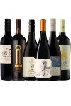 Organic red wine selection case from Lekker wines