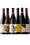 Light red wine selection case from Lekker Wines